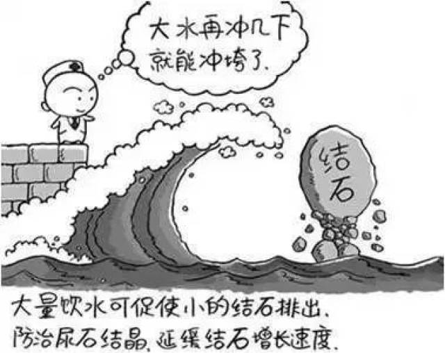 伍德布鲁斯的异想天开之旅 视频海报