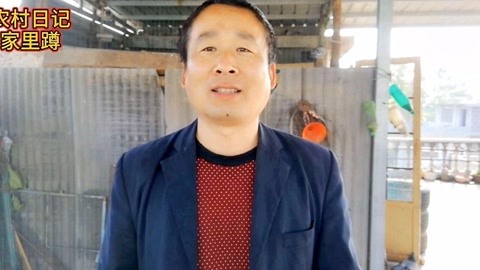 四根羽毛 视频缩略图