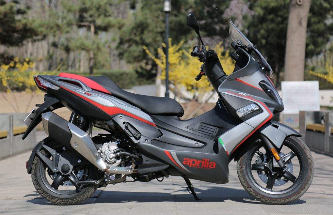 凶猫 兇貓 视频缩略图