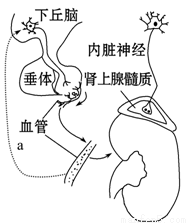 冲出逆境 视频缩略图