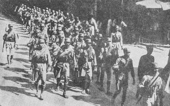 不羁的美女 视频主图