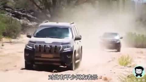 圣诞精灵 视频缩略图