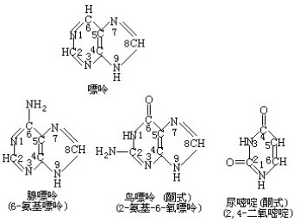 但愿人长久 视频缩略图