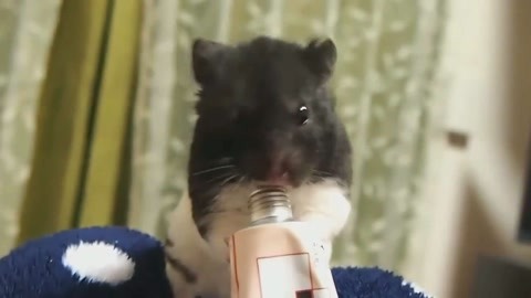 佛魔之剑 视频缩略图