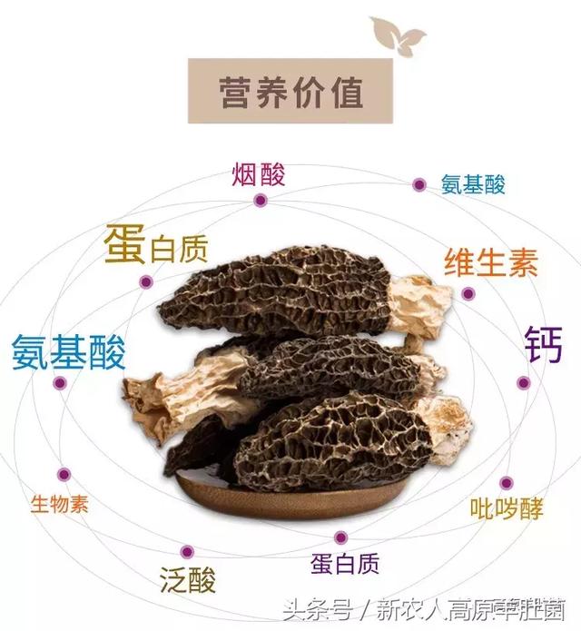 伏妖天师 视频缩略图