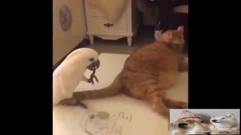 信任之剑 视频海报