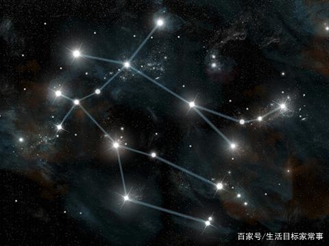 伊丽莎 施莱辛 不同的动物 视频缩略图