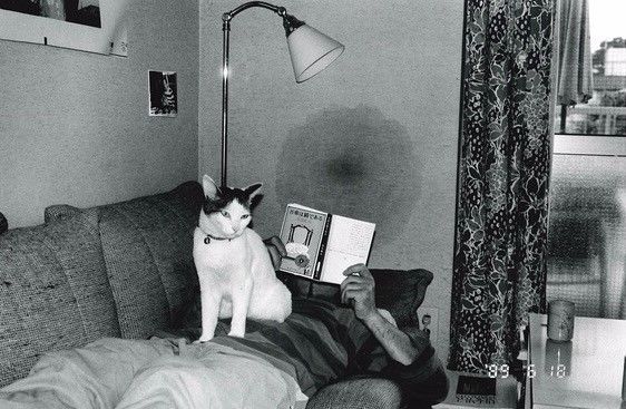 夜雨秋灯闻诡事 视频缩略图