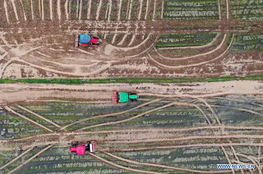 仙游记 视频缩略图