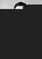 嘿店 视频缩略图