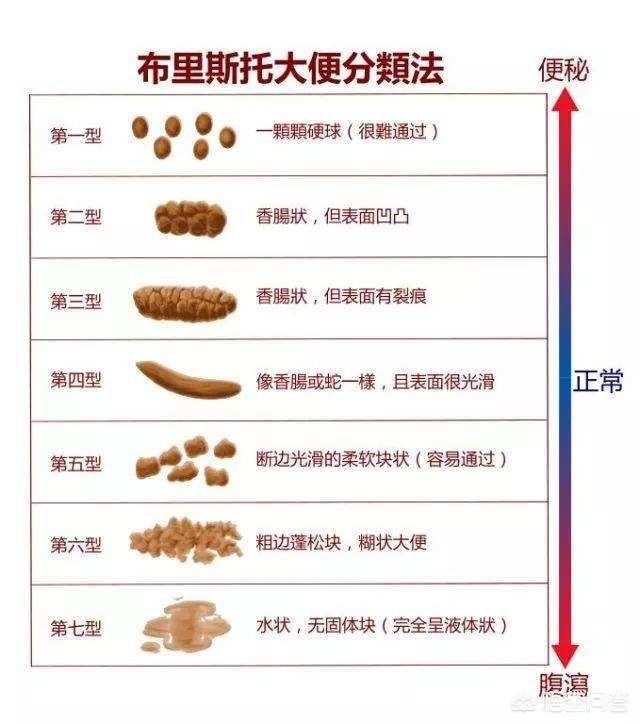 凤梧洞战斗 视频海报