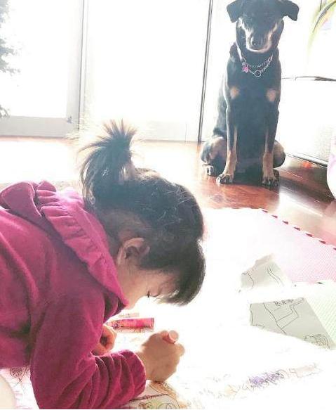 伤痕累累的恶魔 视频主图