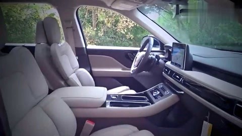 侠圣 视频缩略图