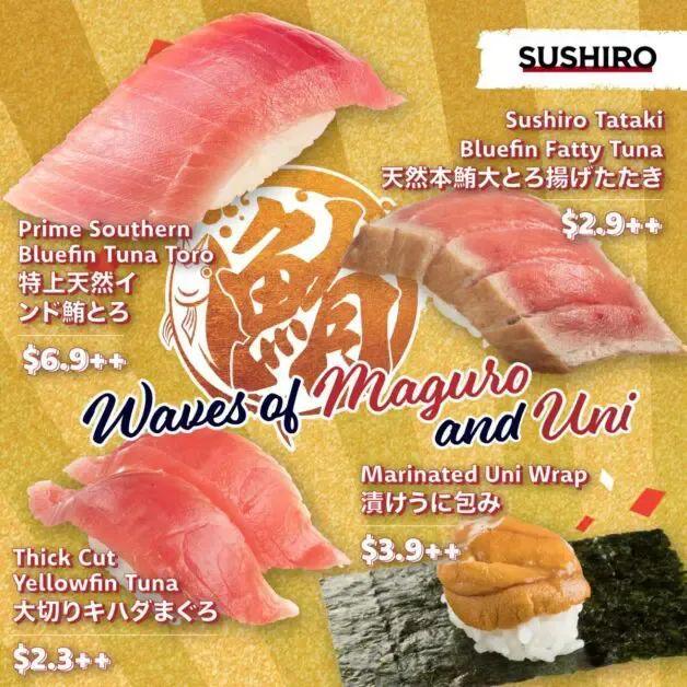 伊莲娜 视频主图