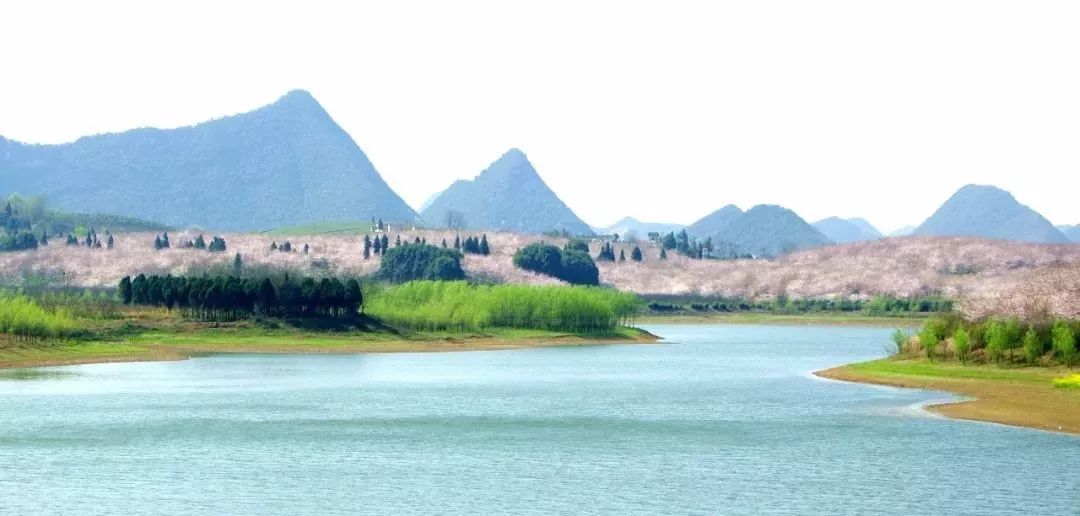 侵入者 视频缩略图