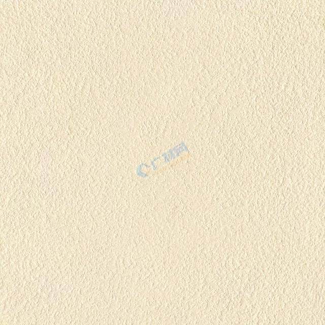 圣诞天使 视频海报