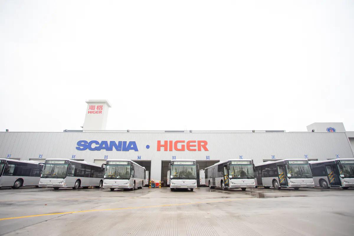 修女艾达 视频海报