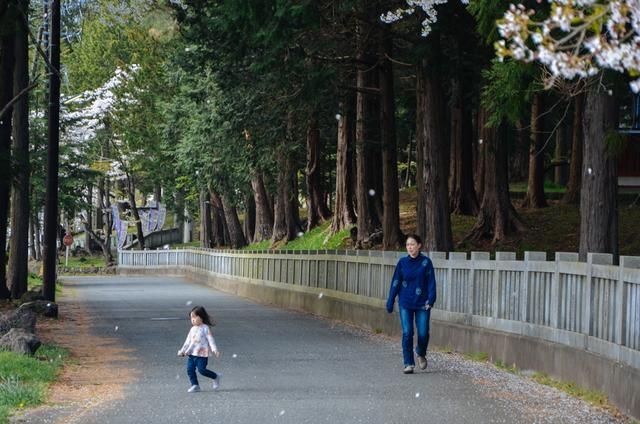 九扇窗戶 视频主图