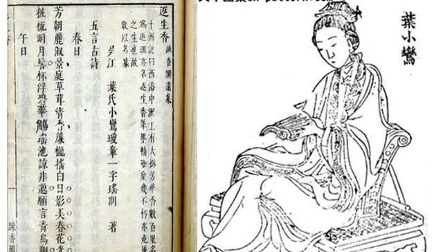 你好，树公主 视频主图