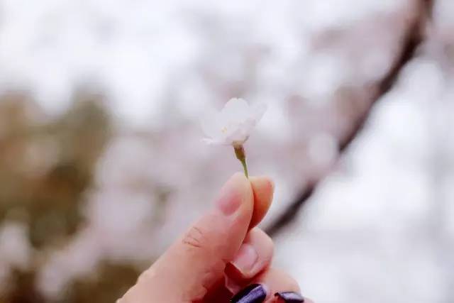 偶像先生 视频缩略图