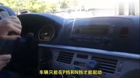 企业动物 视频海报