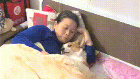 佳人有约 视频缩略图