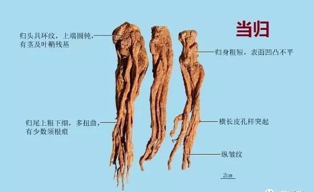 同桌的妳 视频海报