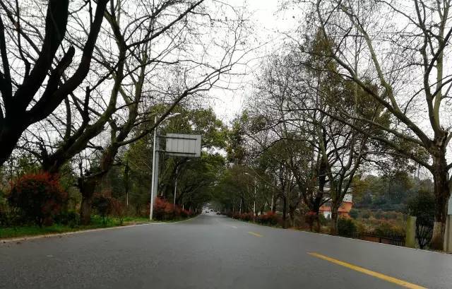 国际瀑布城 视频主图