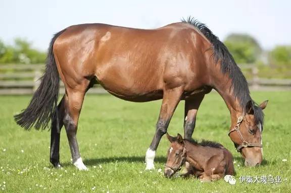 冷酷无情 冰咖啡毒杀案 视频缩略图