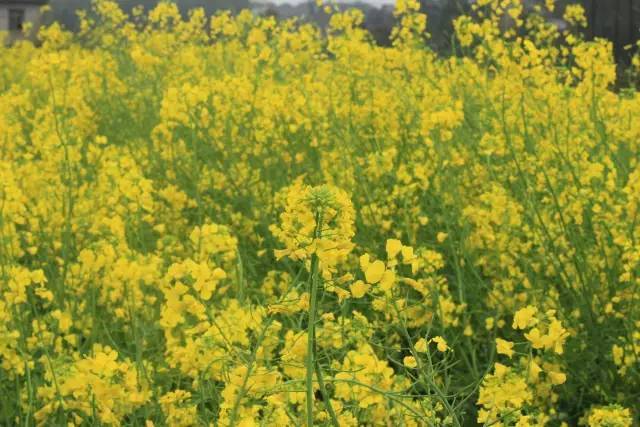 冰山一角 视频海报