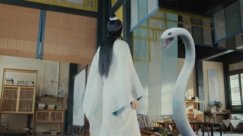 呼叫者 视频缩略图