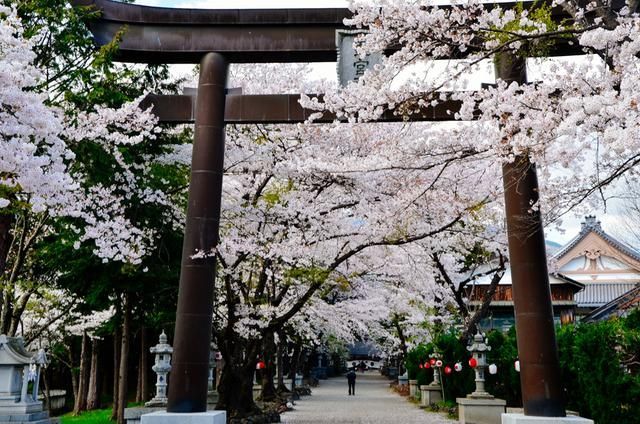 体验 视频缩略图