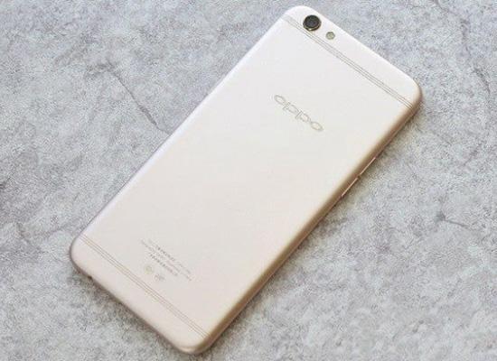 国王与我 视频缩略图