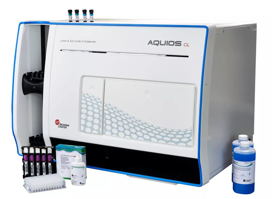 会长的贴身校花 视频缩略图