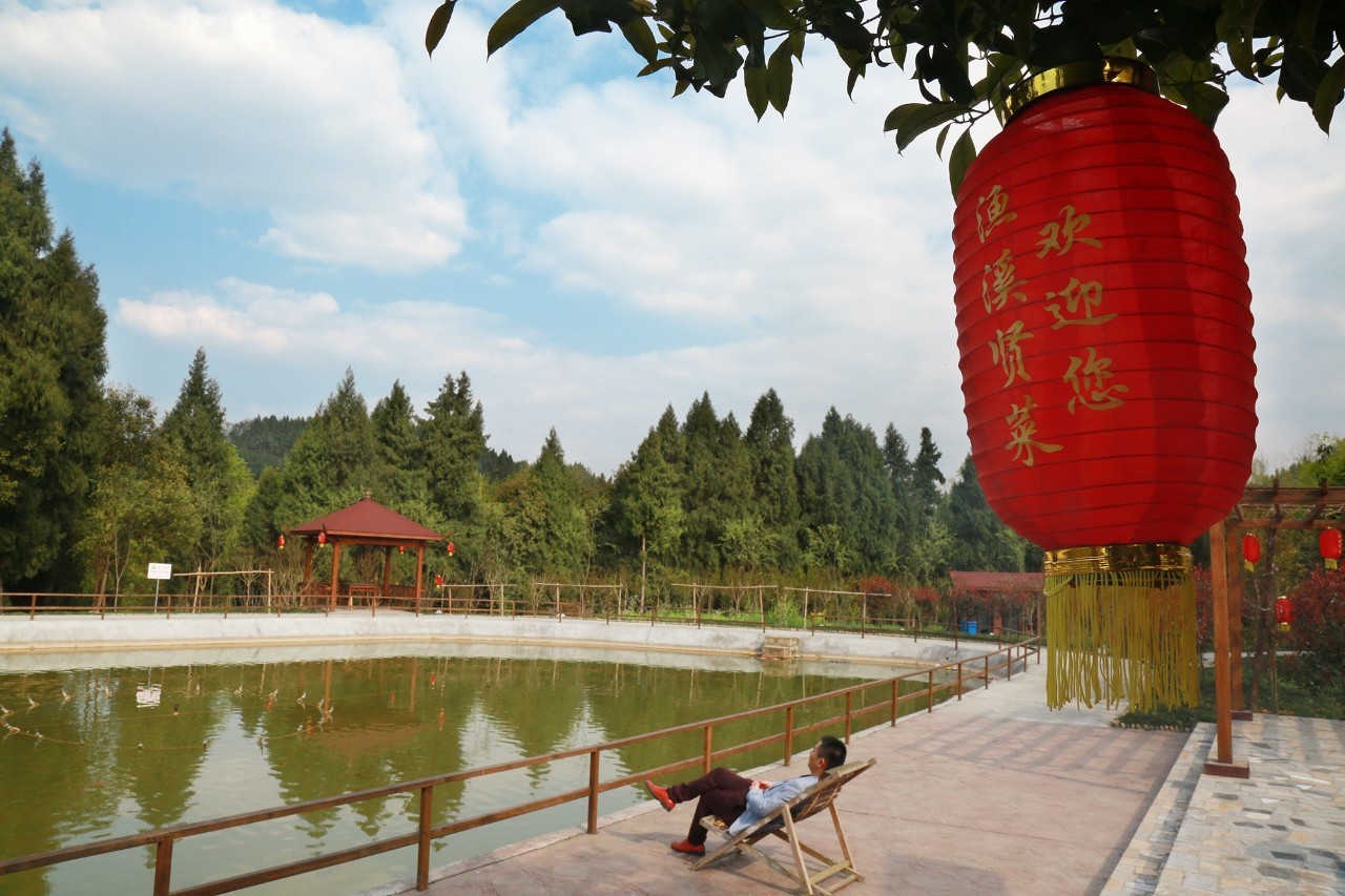 伤心小号曲 视频缩略图