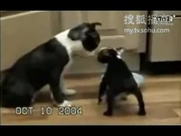 低俗喜剧 视频缩略图