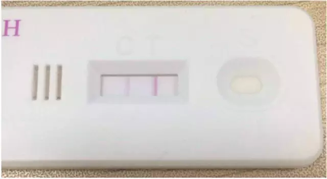 修女艾达 视频海报