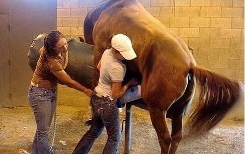 假期历险记 视频缩略图