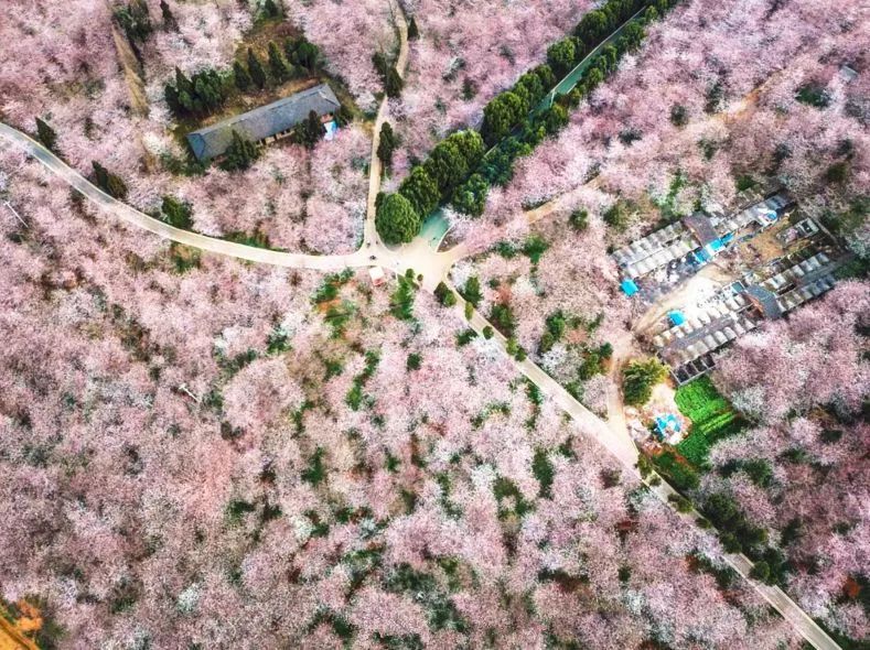 余笙是你 视频缩略图