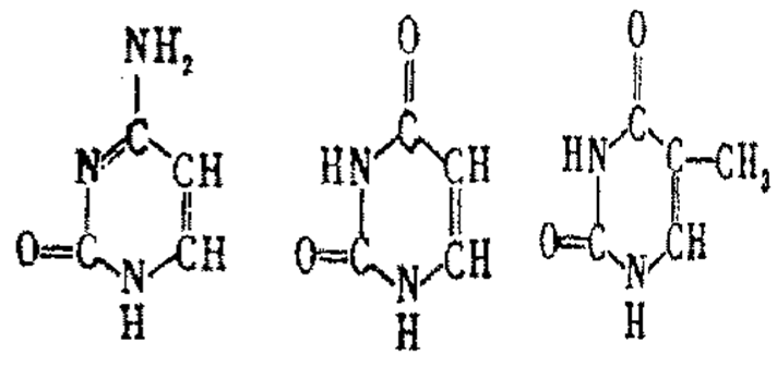 侠圣 视频缩略图