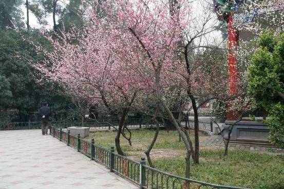 军情五处：利益之争 视频缩略图