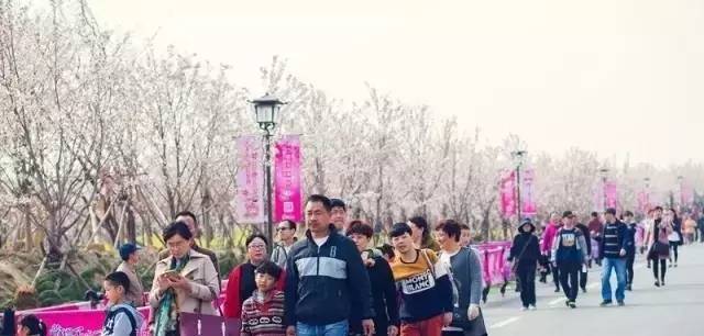 决战紫禁之巅（国语版） 视频海报