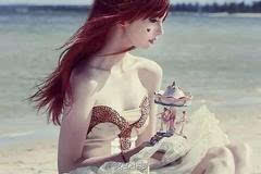 士兵之歌 视频海报