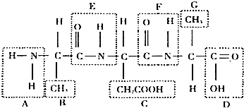 企业动物 视频海报