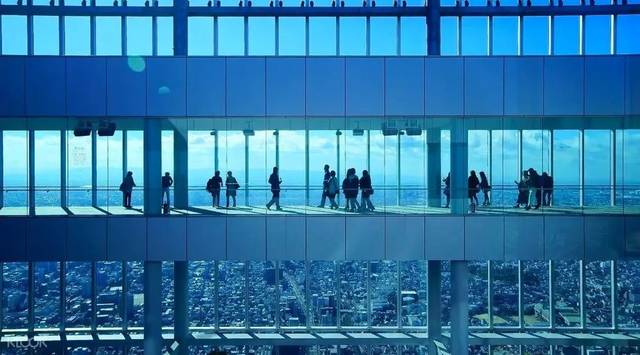 冒牌搭档 视频缩略图