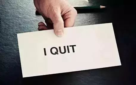 会长的贴身校花 视频缩略图