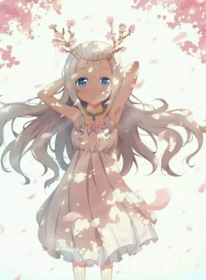 伍德布鲁斯的异想天开之旅 视频海报