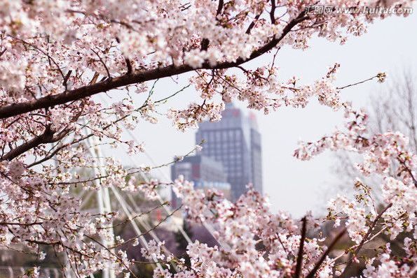 保持通话 保持通話 视频海报