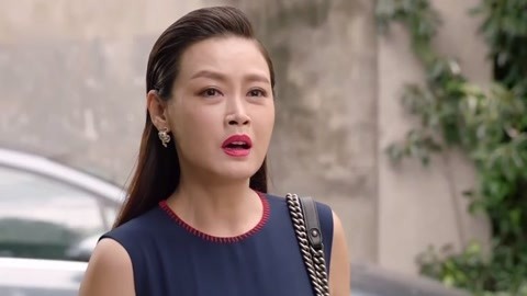 喜气洋洋小金莲 视频缩略图