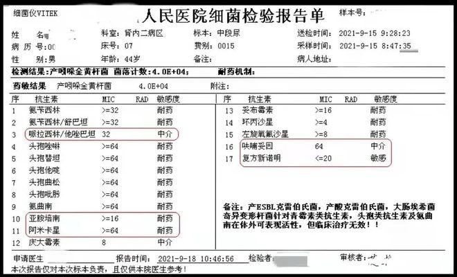 伊丽莎白不见了 视频缩略图